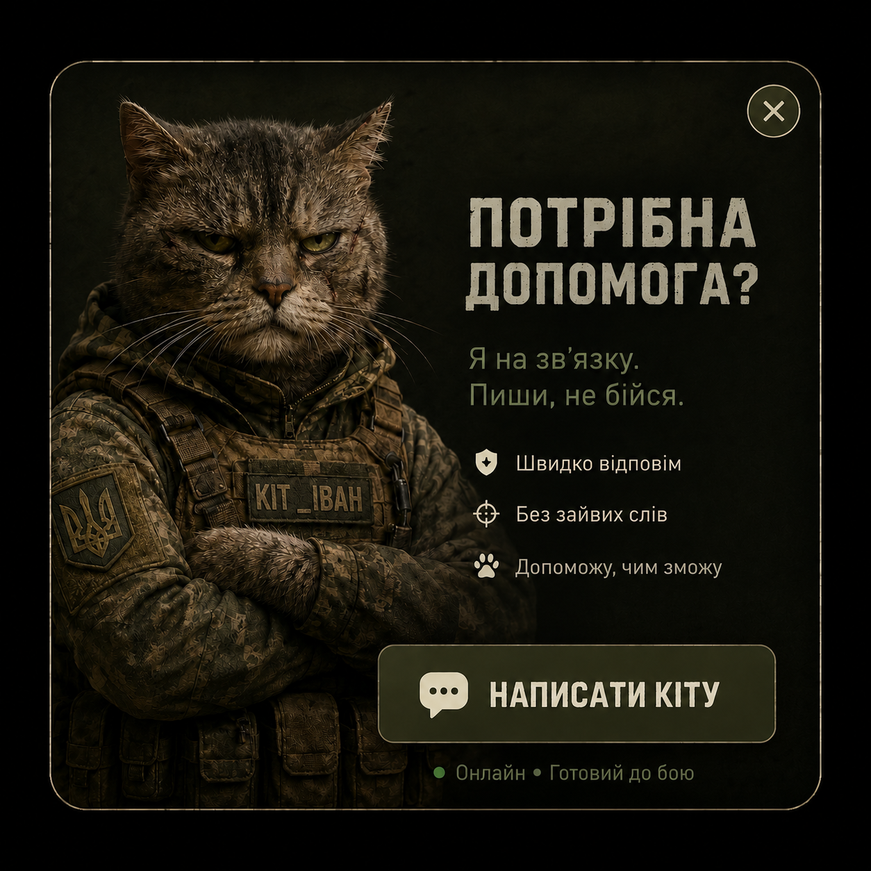 КІТ ІВАН — помічник ODV